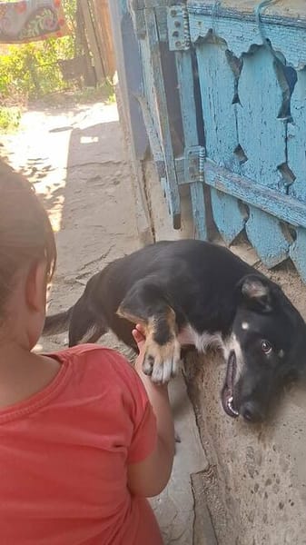 Zahara, sucht Liebe
