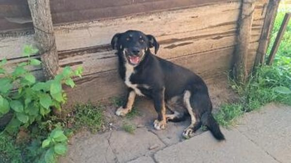 Zahara, sucht Liebe