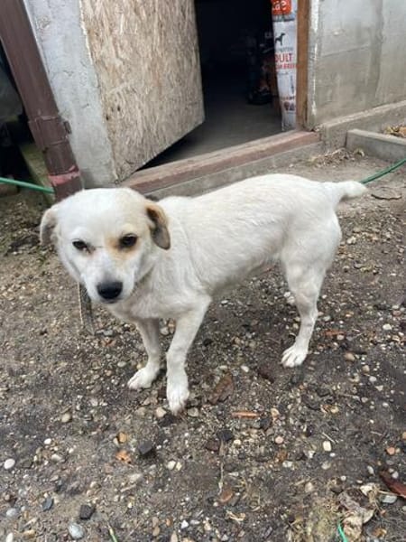 Kleine Ophelia braucht starkes Zuhause