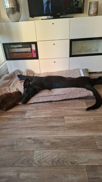Mia - das lernwillige, sportliche Sozialtalent