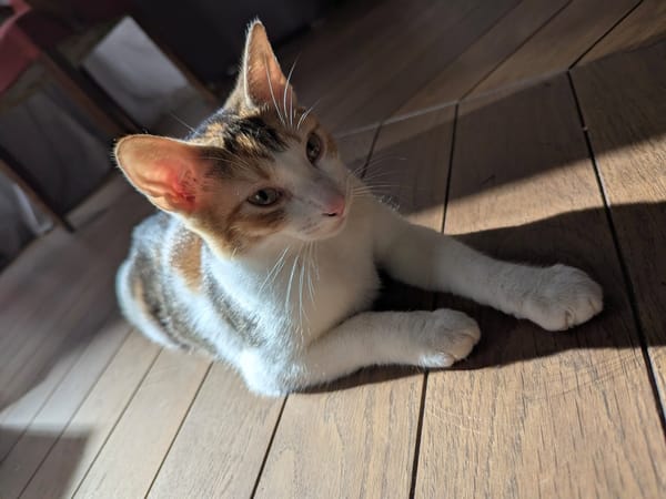 ROSA