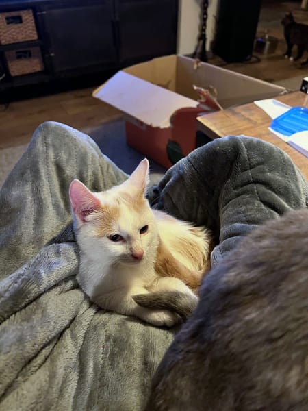 Camethin