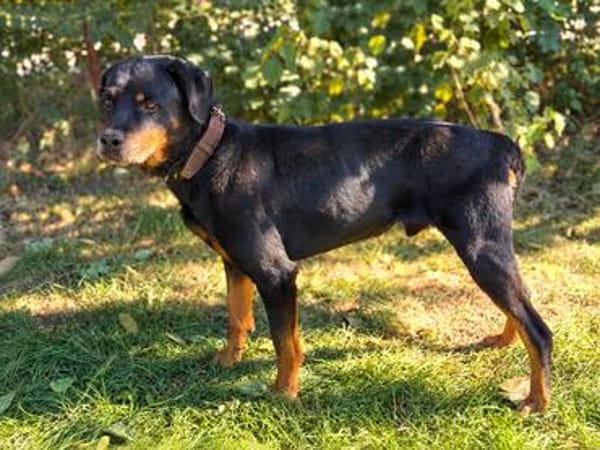 Muzafer -Großer Schatz mit einem Herzen voller Hoffnung