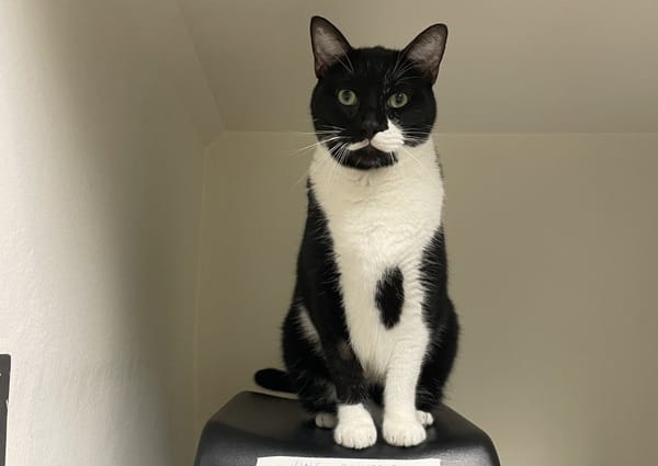 OLIVER