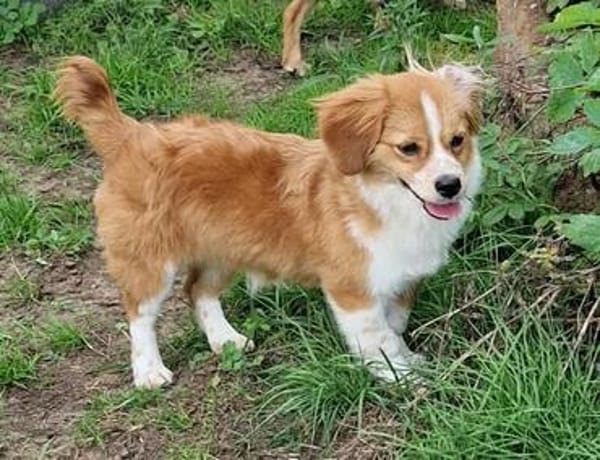 Maggy sucht ihre Familie