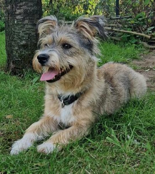 Luna sucht ihre Familie