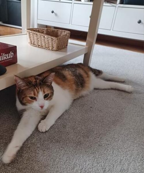 Emma Glückskeks sucht Jackpot