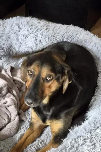 Wundervolle♥Aylini♥wartet 90530 Wendelstein auf ihre Familie