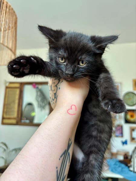Luna