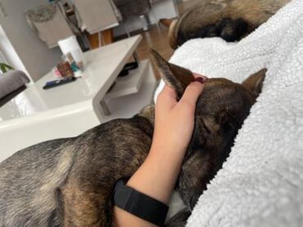 ❤Nedy...junges Herz auf vier Pfoten...