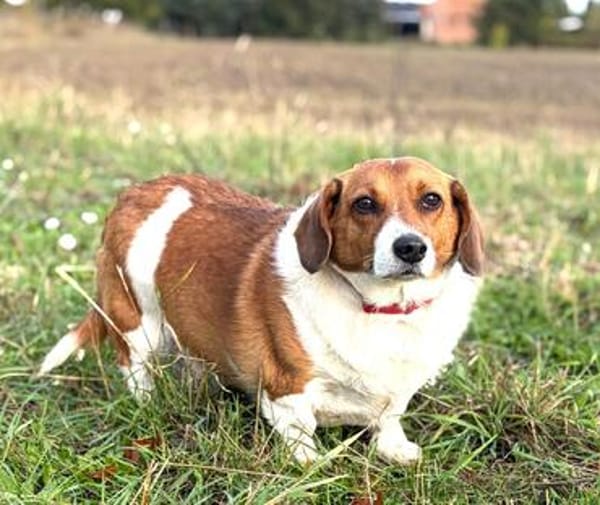 Johnny  ein kleiner Zwerg mit ganz viel Herz.