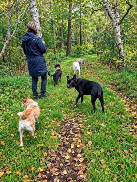 Hundeprofessorin Kira bietet viel u. wünscht sich