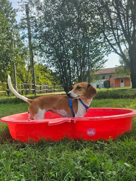 Summer