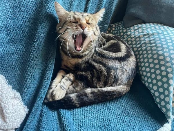 Grimm