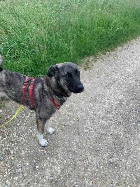 Lebensfrohe Lucy