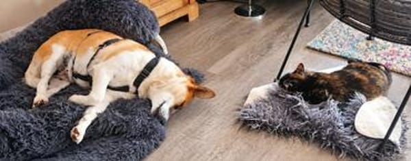 Deliah sucht ihre Familie