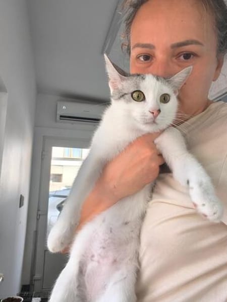 Süße Katze Alma