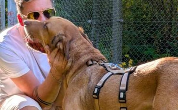 Menschenbezogener Ricky sucht Zuhause