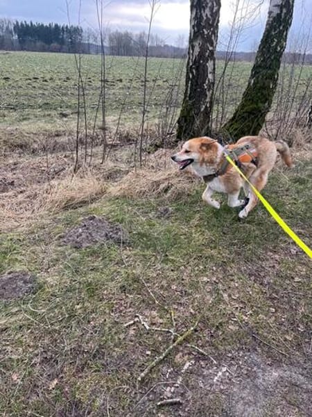 Besonderer Lucky sucht seine Familie