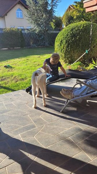 Kilian - sucht ein lebenslanges geborgenes Foreverhome