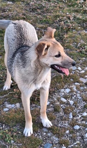 Nikita, eine tiefgründige Seele