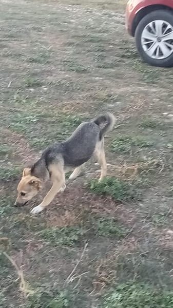 Nikita, eine tiefgründige Seele