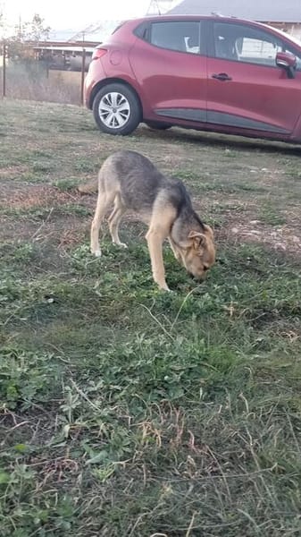 Nikita, eine tiefgründige Seele