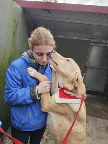 Hübscher Nanook