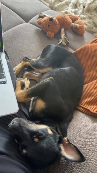 PABLO (France)