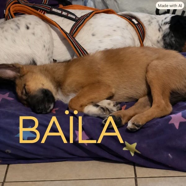 Baïla