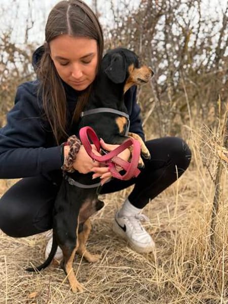Colton -Kleiner Herzenshund sucht endlich sein Glück!