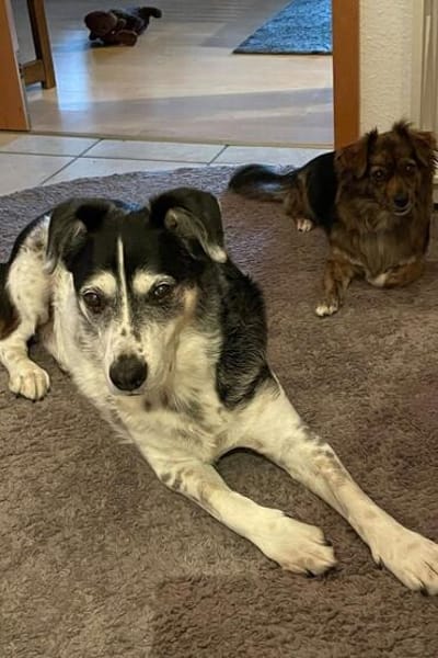 OldBoy♥Rocky♥ wartet 21640 Bliedersdorf auf sein Lebensglück