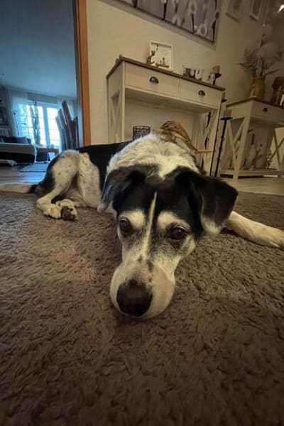 OldBoy♥Rocky♥ wartet 21640 Bliedersdorf auf sein Lebensglück
