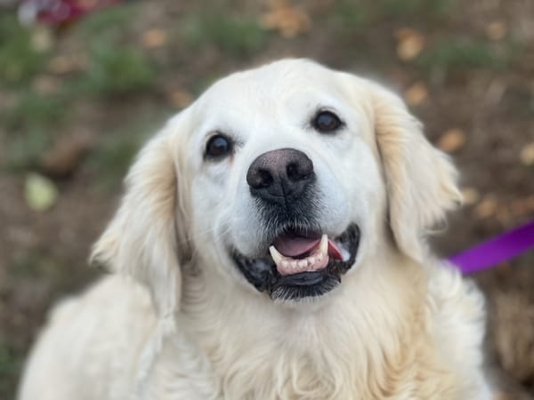 SIERRA