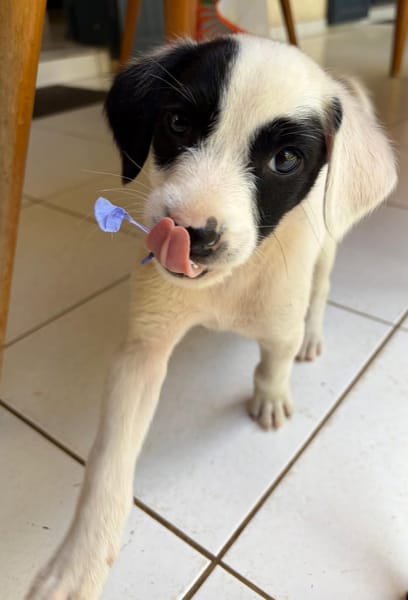 BILLY
