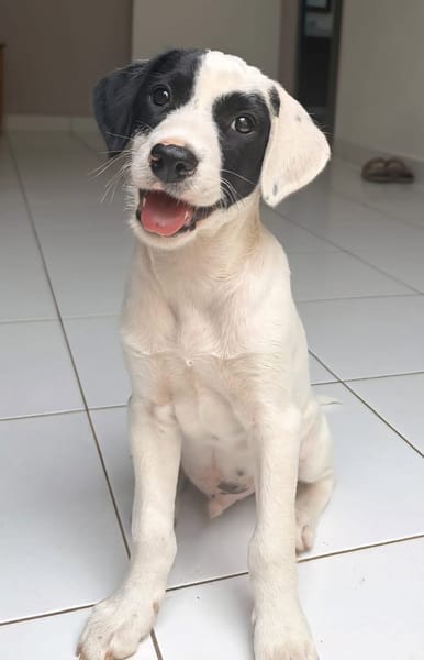 BILLY