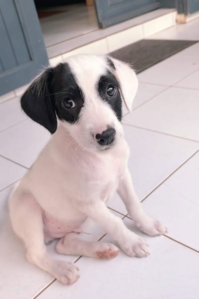BILLY