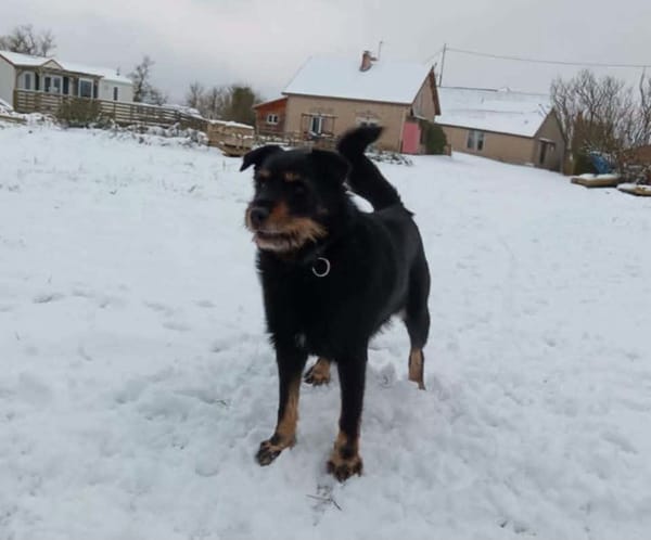 PIXEL