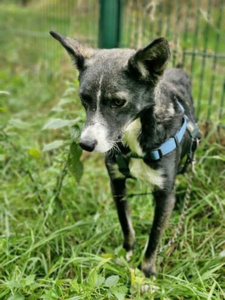 Salome sucht ihre Familie ❤