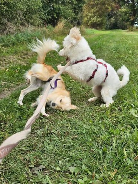 FIENCHEN * Sonnenscheinchen zum liebhaben