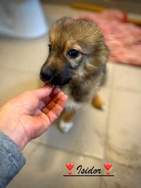 Isidor  ein kleiner Bub, der die Welt noch vor sich hat