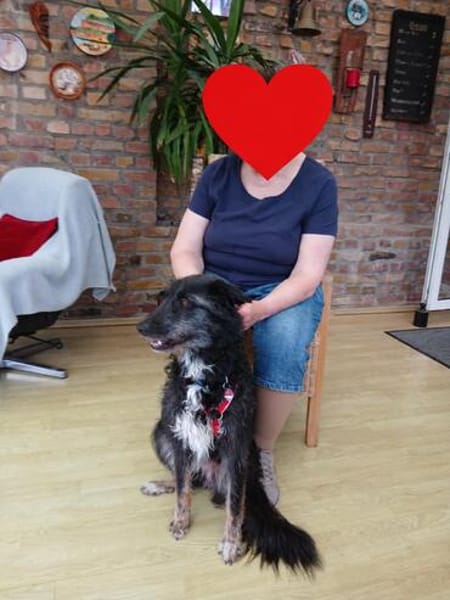 🐾Lebensfrohe Kira sucht Dich🐾 NOTFALL