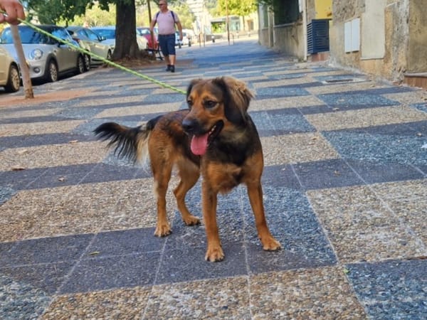 Mia