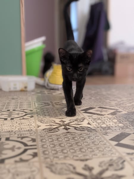 Benny