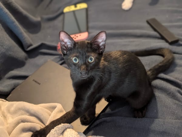 Benny