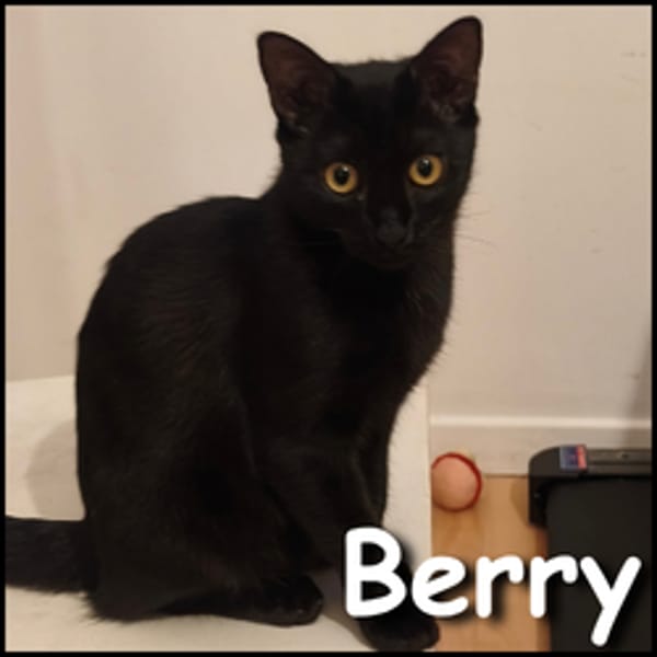 Berry