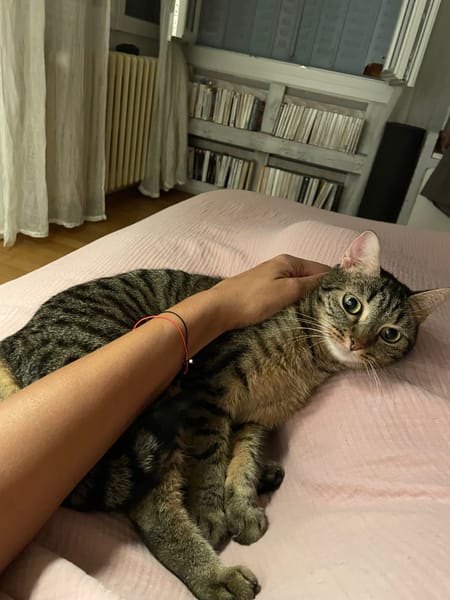 Nala