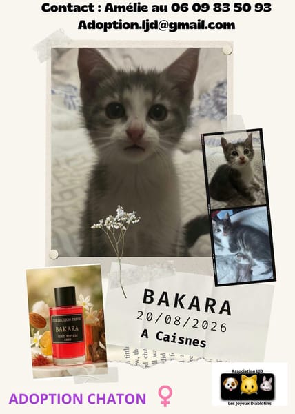 Bakara