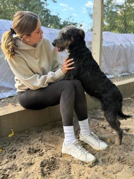 Merlin (Mendel) -Junger Hundebub sucht ein tolles Zuhause