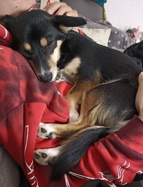 Süße Keisy🌺 sucht liebevolles Zuhause